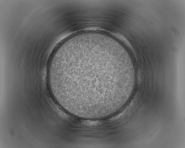 X0000111900831200909071134