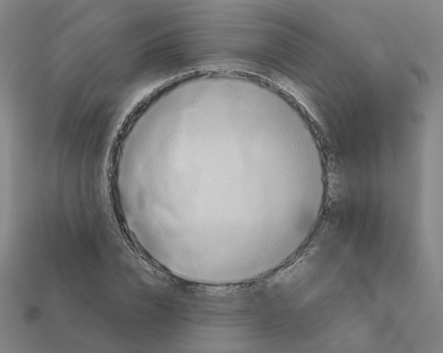 X0000111900832200909071134