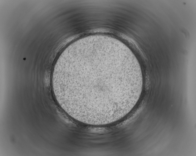 X0000111900833200909071134