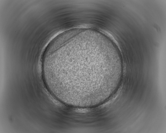 X0000111900835200909071134