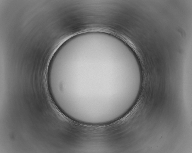 X0000111900836200909071134