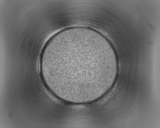 X0000111900838200909071134