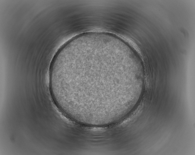 X0000111900839200909071134