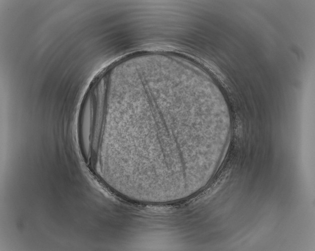 X0000111900840200909071134