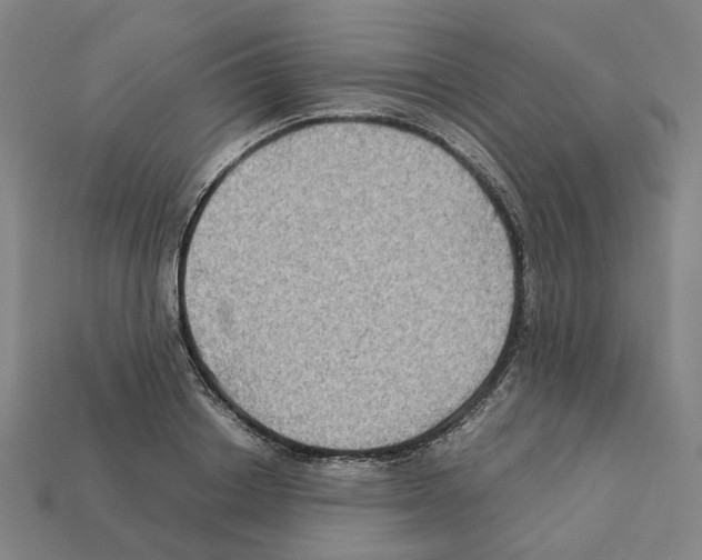 X0000111900842200909071134