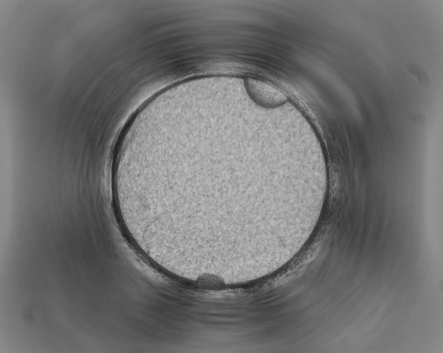 X0000111900843200909071134