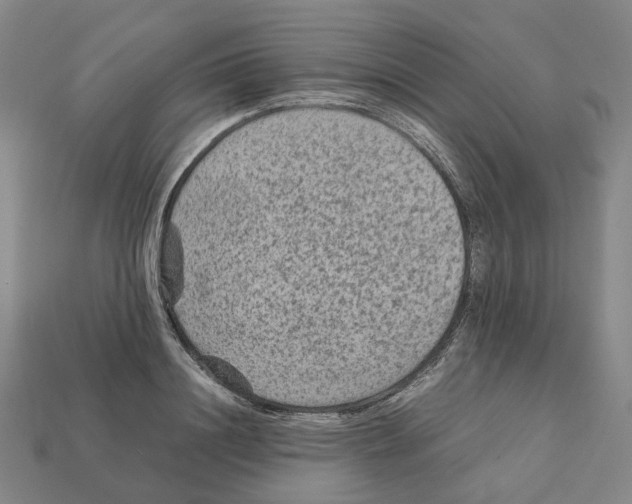 X0000111900844200909071134