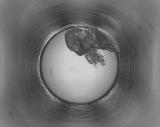 X0000111900845200909071134