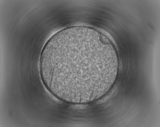 X0000111900847200909071134