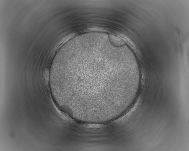 X0000111900849200909071134