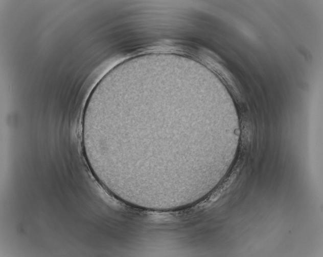 X0000111900852200909071134