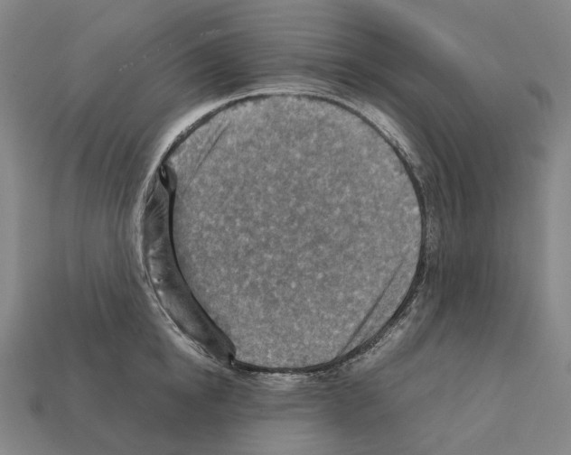 X0000111900854200909071134