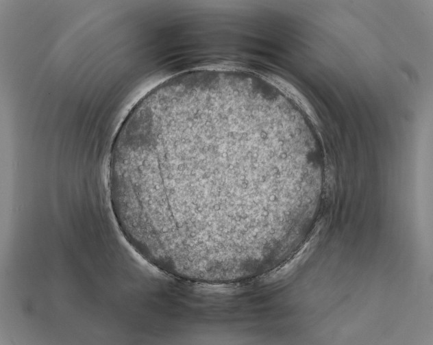 X0000111900855200909071134