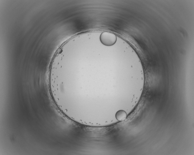 X0000111900856200909071134