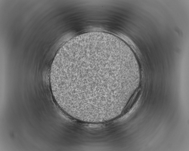 X0000111900857200909071134