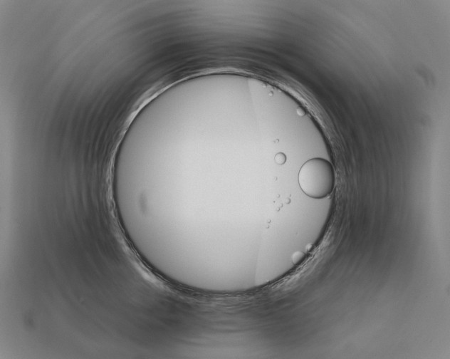 X0000111900858200909071134