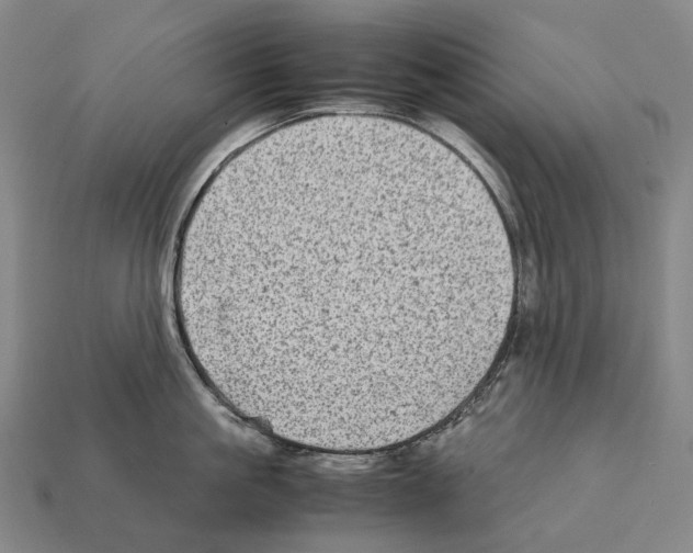 X0000111900861200909071134