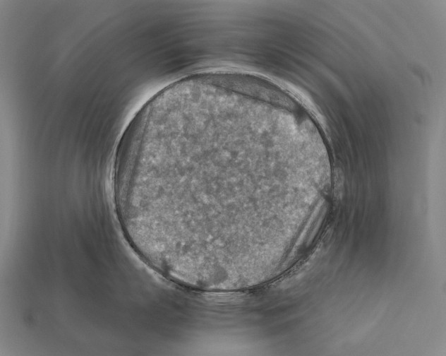 X0000111900863200909071134