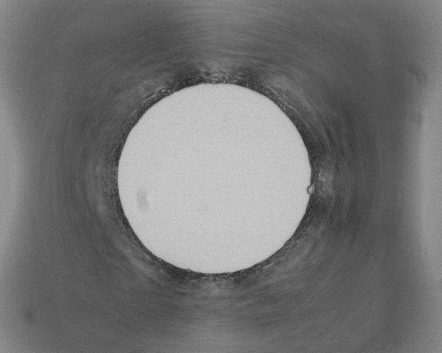 X0000111900865200909071134