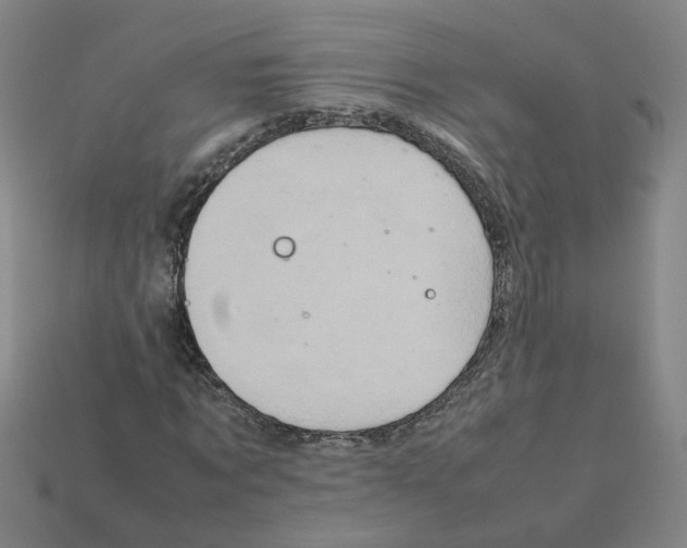 X0000111900869200909071134