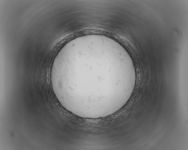 X0000111900870200909071134