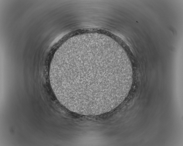 X0000111900871200909071134