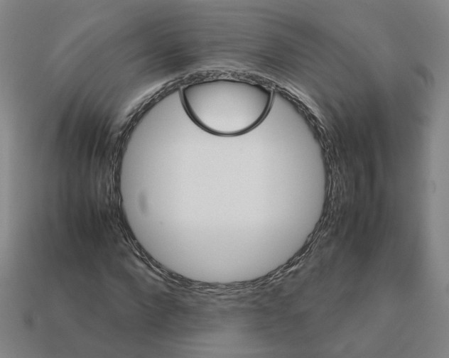 X0000111900872200909071134