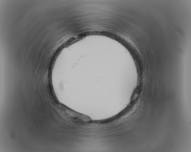 X0000111900873200909071134