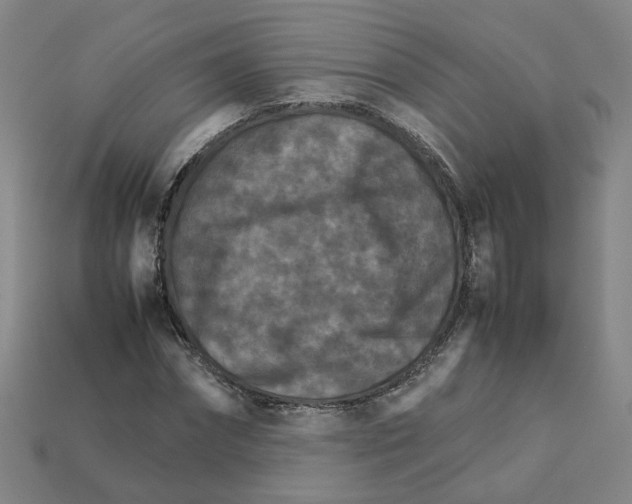 X0000111900874200909071134