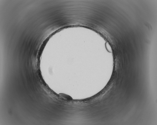 X0000111900876200909071134