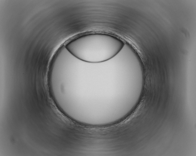 X0000111900880200909071134