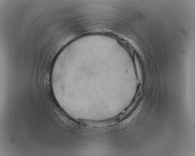 X0000111900881200909071134