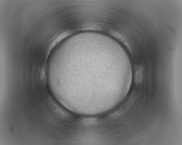 X0000111900882200909071134