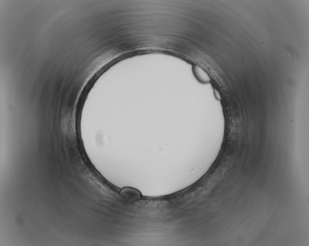 X0000111900884200909071134