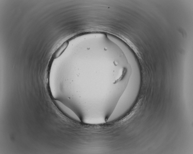 X0000111900885200909071134