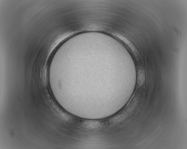 X0000111900886200909071134