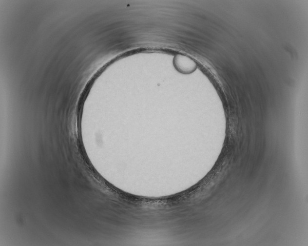 X0000111900887200909071134