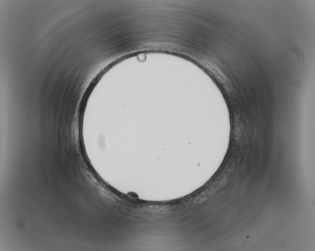 X0000111900888200909071134