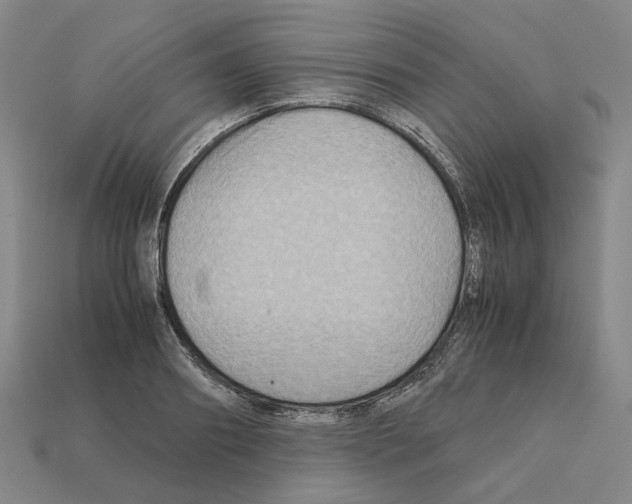 X0000111900890200909071134