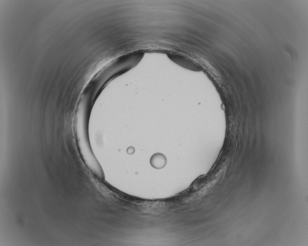 X0000111900893200909071134