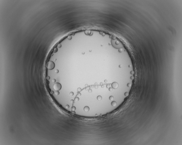 X0000111900894200909071134