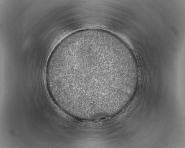 X0000111900895200909071134