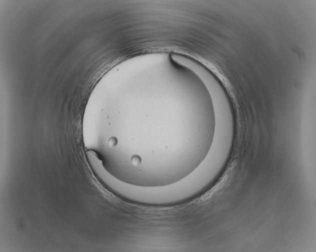 X0000111900897200909071133