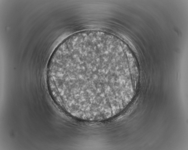 X0000111900899200909071133