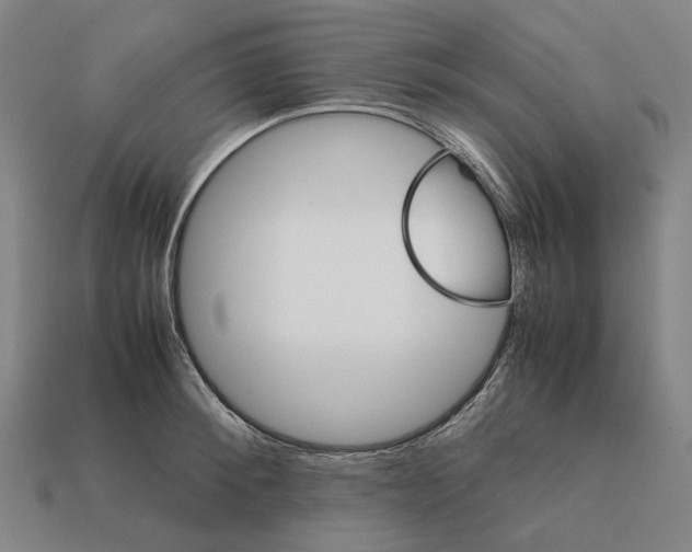 X0000111900900200909071133