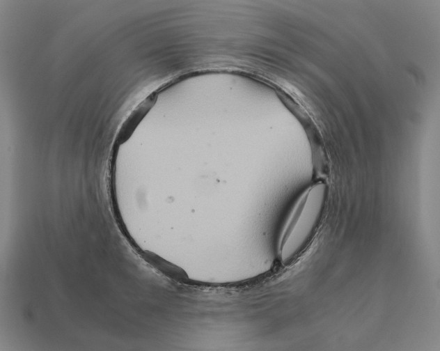 X0000111900901200909071133