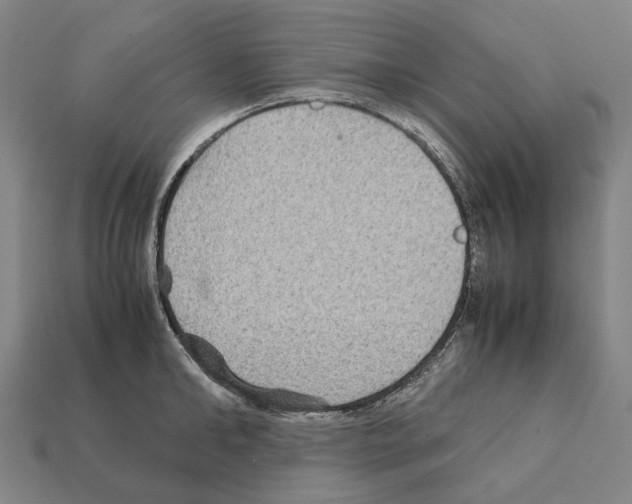 X0000111900902200909071133