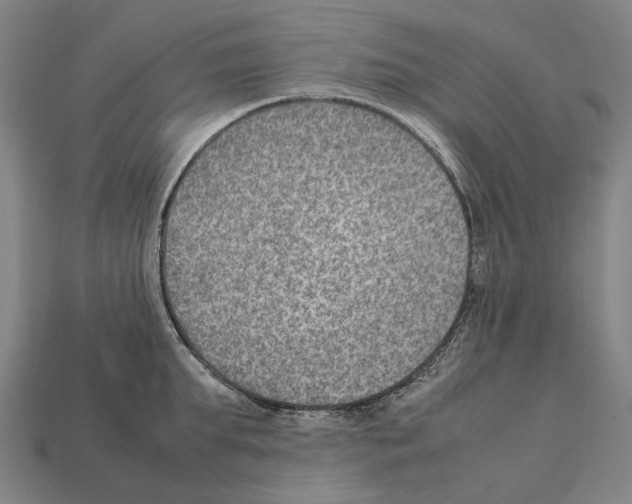 X0000111900903200909071133