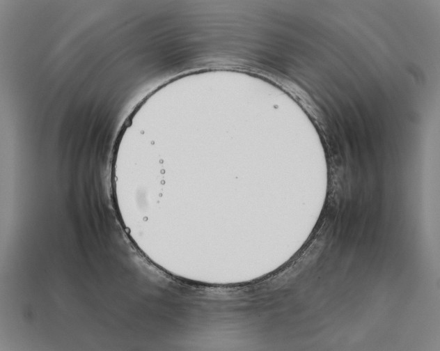 X0000111900904200909071133