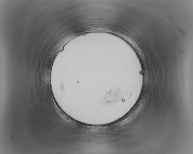 X0000111900905200909071133